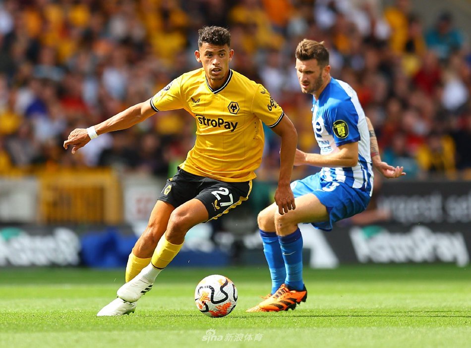 主力阵容薪 主力阵容薪