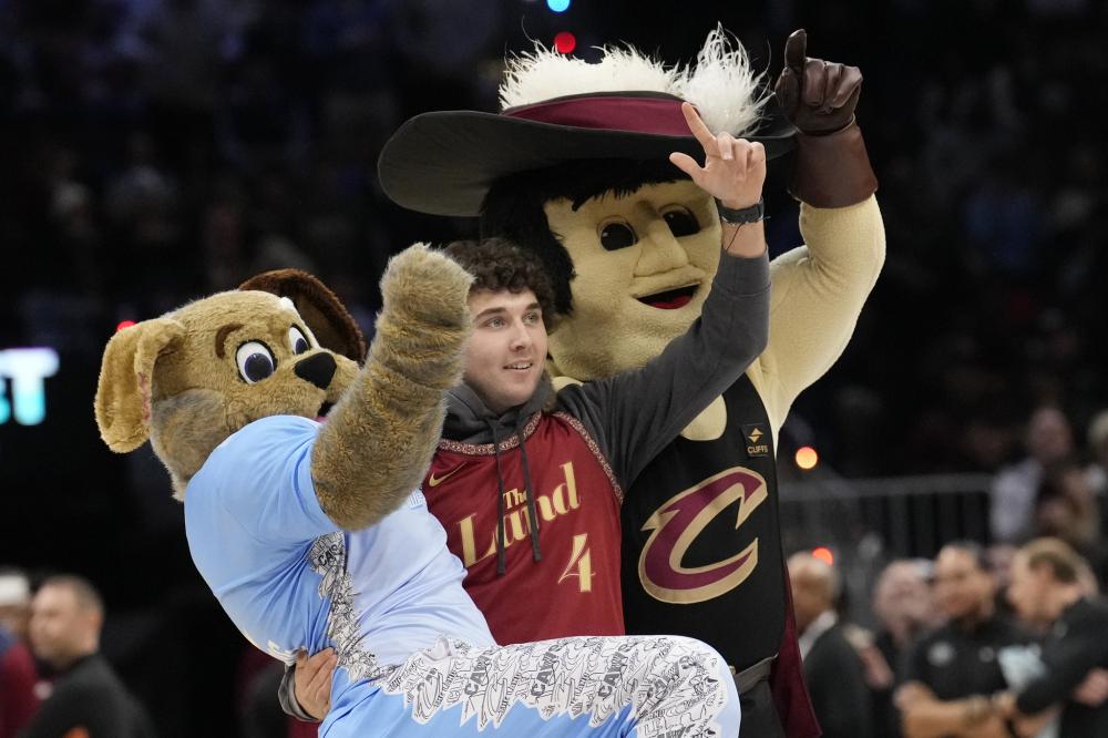 通过引入 通过引入